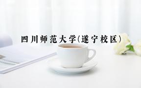 2024四川师范大学(遂宁校区)录取分数线及位次一览：四川考生2025填报参考