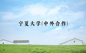 2024宁夏大学(中外合作)录取分数线及位次一览：四川考生2025填报参考