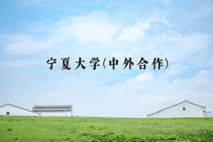 2024宁夏大学(中外合作)录取分数线及位次一览：四川考生2025填报参考