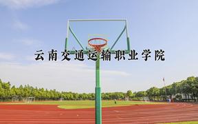 2024云南交通运输职业学院录取分数线及位次一览：重庆考生2025填报参考