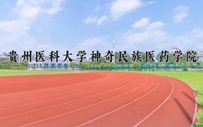 2024贵州医科大学神奇民族医药学院录取分数线及位次一览：四川考生2025填报参考