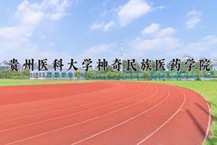 2024贵州医科大学神奇民族医药学院录取分数线及位次一览：四川考生2025填报参考