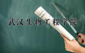 2024武汉生物工程学院录取分数线及位次一览：四川考生2025填报参考