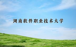 2024湖南软件职业技术大学录取分数线及位次一览：四川考生2025填报参考