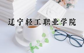 2024辽宁轻工职业学院录取分数线及位次一览：四川考生2025填报参考