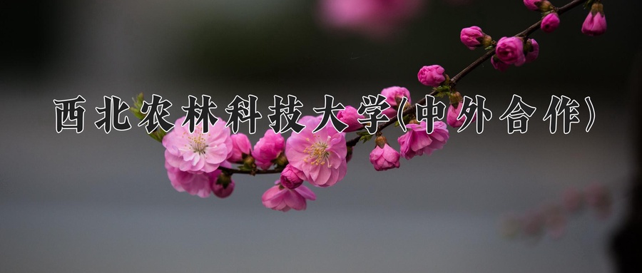 西北农林科技大学(中外合作)