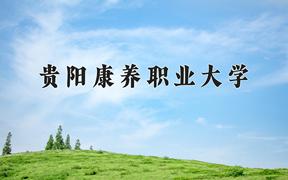 2024贵阳康养职业大学录取分数线及位次一览：重庆考生2025填报参考