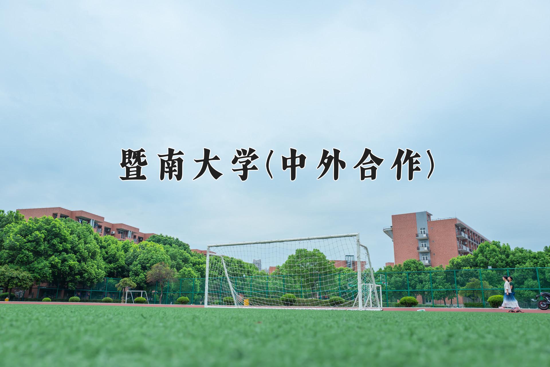 暨南大学(中外合作)