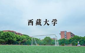 2024西藏大学录取分数线及位次一览：重庆考生2025填报参考