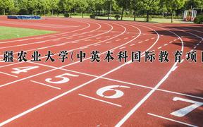 2024新疆农业大学(中英本科国际教育项目)录取分数线及位次一览：四川考生2025填报参考