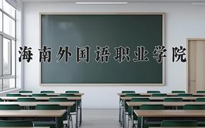 2024海南外国语职业学院录取分数线及位次一览：重庆考生2025填报参考