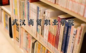 2024武汉商贸职业学院录取分数线及位次一览：四川考生2025填报参考