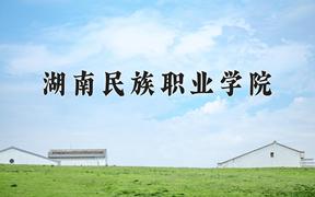 2024湖南民族职业学院录取分数线及位次一览：重庆考生2025填报参考