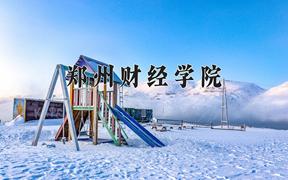 2024郑州财经学院录取分数线及位次一览：重庆考生2025填报参考