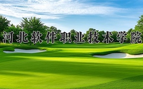 2024河北软件职业技术学院录取分数线及位次一览：重庆考生2025填报参考