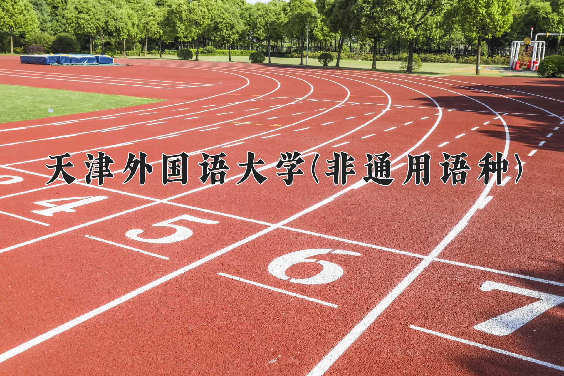 天津外国语大学(非通用语种)