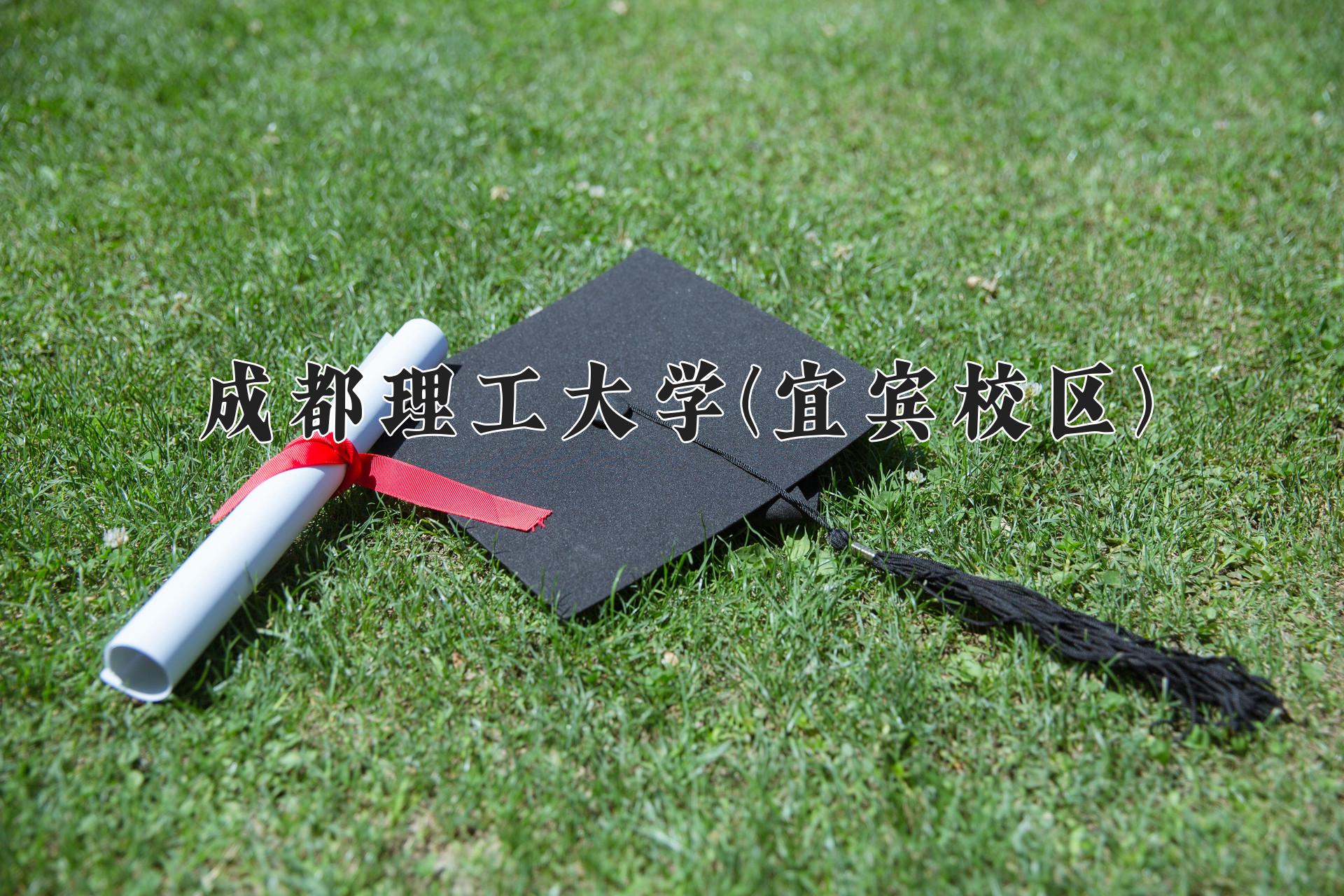 成都理工大学(宜宾校区)