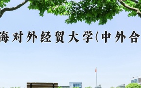 2024上海对外经贸大学(中外合作)录取分数线及位次一览：四川考生2025填报参考