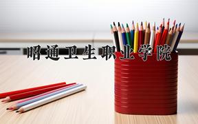 2024昭通卫生职业学院录取分数线及位次一览：四川考生2025填报参考