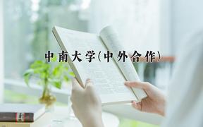 2024中南大学(中外合作)录取分数线及位次一览：四川考生2025填报参考