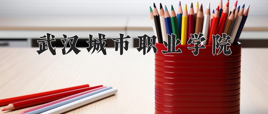 武汉城市职业学院