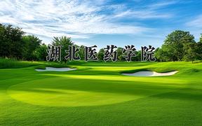 2024湖北医药学院录取分数线及位次一览：重庆考生2025填报参考