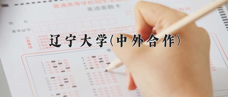 辽宁大学(中外合作)