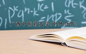 2024广西中医药大学(中外合作)录取分数线及位次一览：四川考生2025填报参考