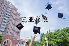 2024三亚学院录取分数线及位次一览：重庆考生2025填报参考