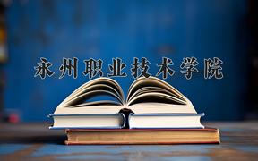 2024永州职业技术学院录取分数线及位次一览：四川考生2025填报参考