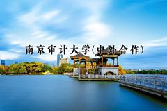 2024南京审计大学(中外合作)录取分数线及位次一览：四川考生2025填报参考