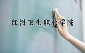 2024红河卫生职业学院录取分数线及位次一览：四川考生2025填报参考