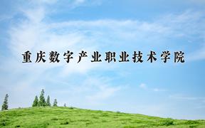 2024重庆数字产业职业技术学院录取分数线及位次一览：四川考生2025填报参考