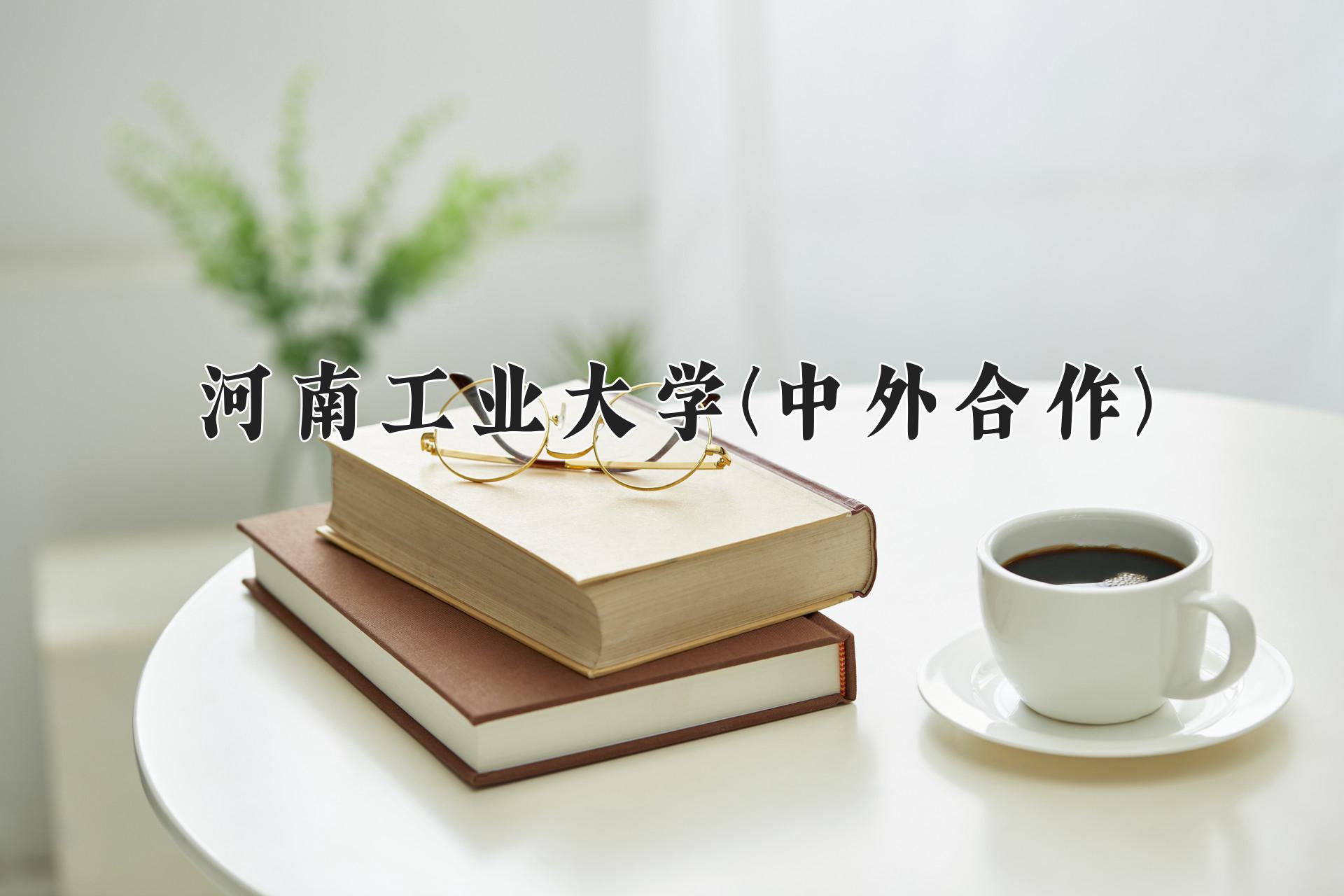 河南工业大学(中外合作)