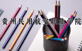 2024贵州民用航空职业学院录取分数线及位次一览：重庆考生2025填报参考