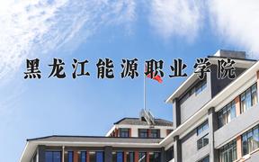 2024黑龙江能源职业学院录取分数线及位次一览：重庆考生2025填报参考