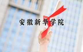 2024安徽新华学院录取分数线及位次一览：四川考生2025填报参考