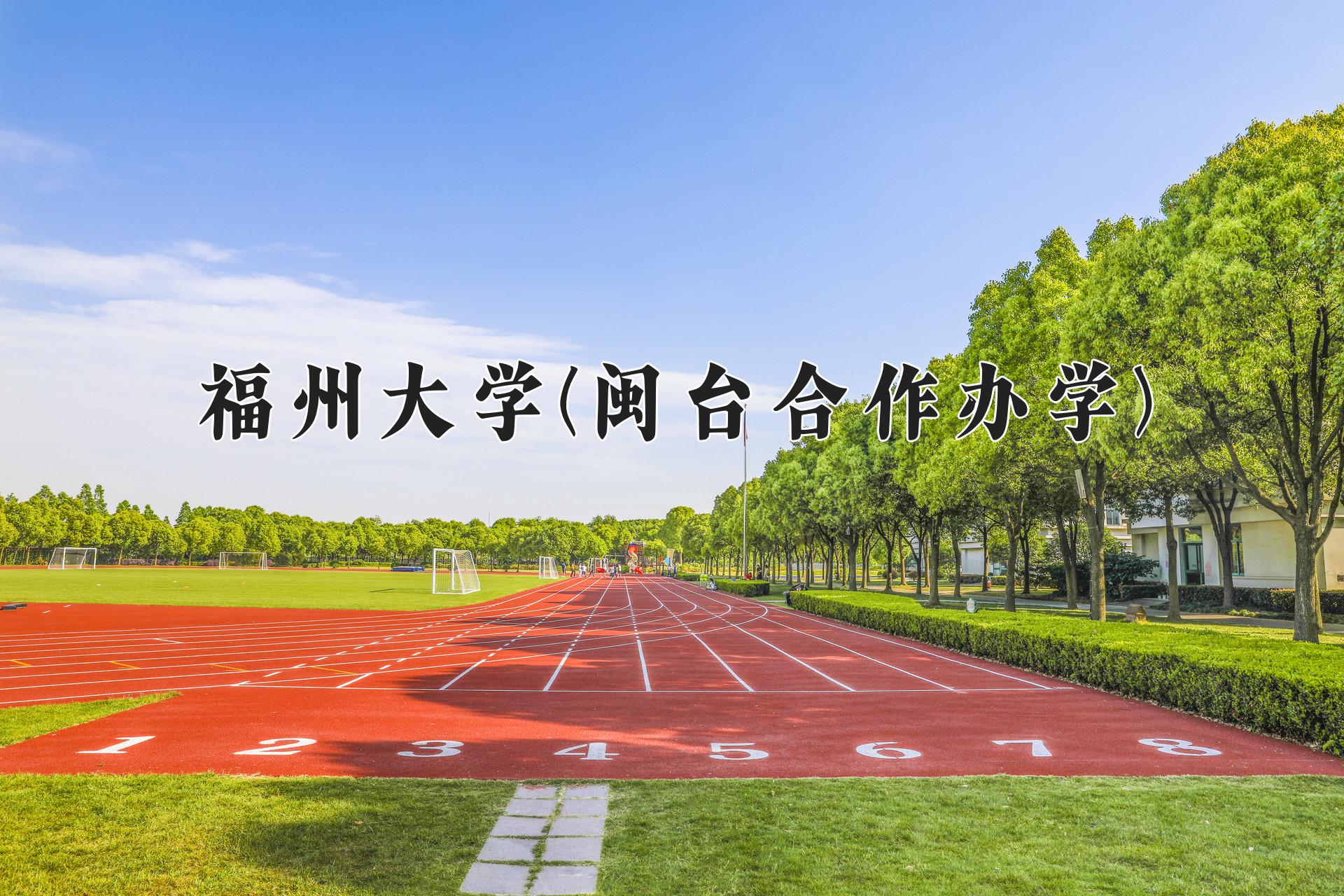 福州大学(闽台合作办学)