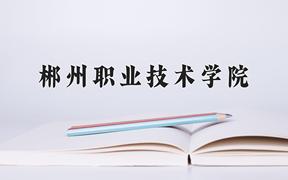 2024郴州职业技术学院录取分数线及位次一览：四川考生2025填报参考