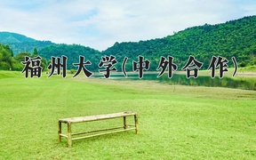 2024福州大学(中外合作)录取分数线及位次一览：四川考生2025填报参考
