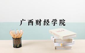 2024广西财经学院录取分数线及位次一览：四川考生2025填报参考