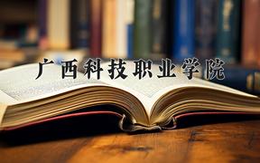 2024广西科技职业学院录取分数线及位次一览：四川考生2025填报参考