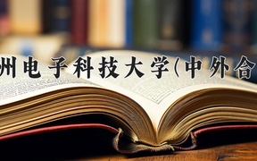 2024杭州电子科技大学(中外合作)录取分数线及位次一览：四川考生2025填报参考