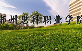 2024郴州思科职业学院录取分数线及位次一览：四川考生2025填报参考