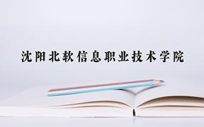 2024沈阳北软信息职业技术学院录取分数线及位次一览：重庆考生2025填报参考