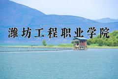 2024潍坊工程职业学院录取分数线及位次一览：四川考生2025填报参考