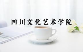 2024四川文化艺术学院录取分数线及位次一览：重庆考生2025填报参考