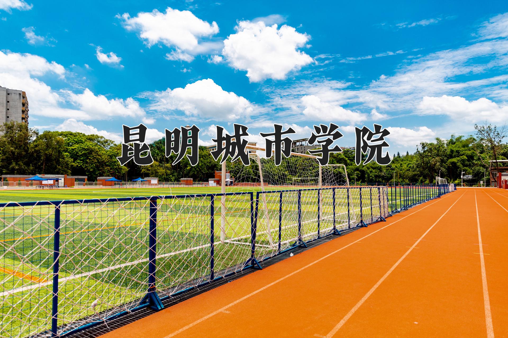 昆明城市学院