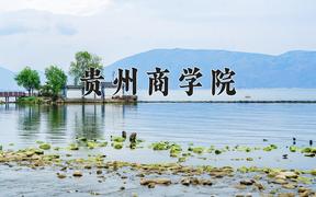 2024贵州商学院录取分数线及位次一览：重庆考生2025填报参考