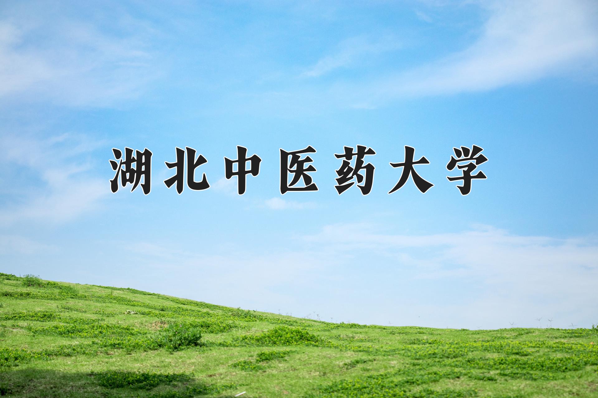 湖北中医药大学